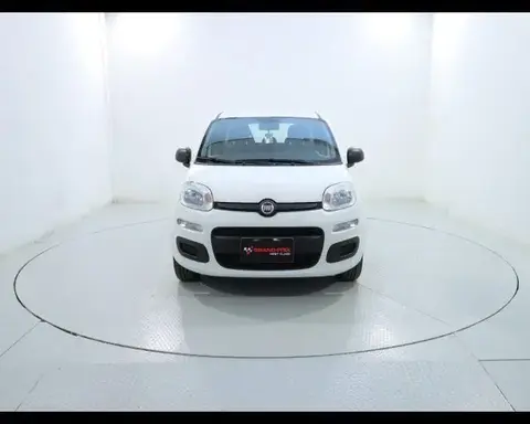 Annonce FIAT PANDA Essence 2020 d'occasion 