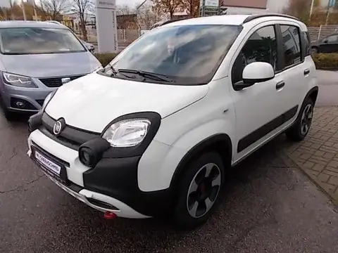 Used FIAT PANDA Petrol 2023 Ad 