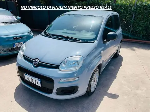 Annonce FIAT PANDA Essence 2019 d'occasion 