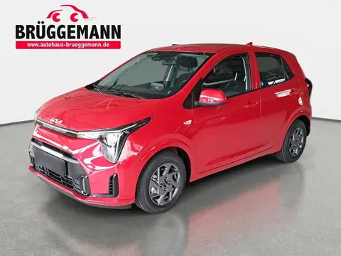 Used KIA PICANTO Petrol 2024 Ad 