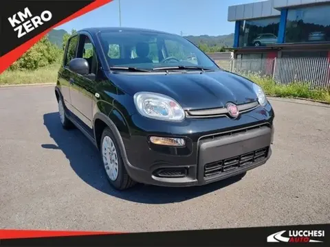 Used FIAT PANDA Hybrid 2024 Ad 