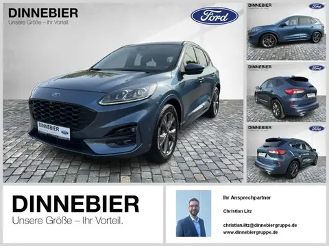 Annonce FORD KUGA Essence 2023 d'occasion 