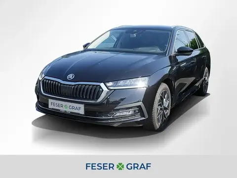 Annonce SKODA OCTAVIA Diesel 2024 d'occasion 