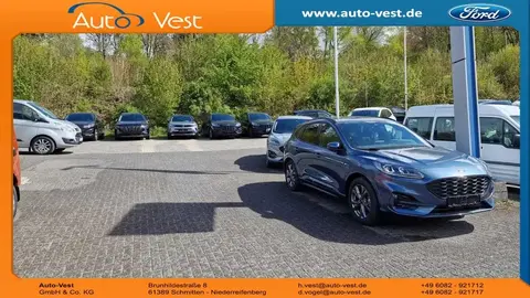 Annonce FORD KUGA Diesel 2022 d'occasion 