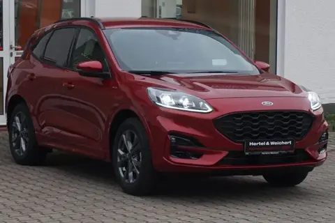 Annonce FORD KUGA Essence 2021 d'occasion 