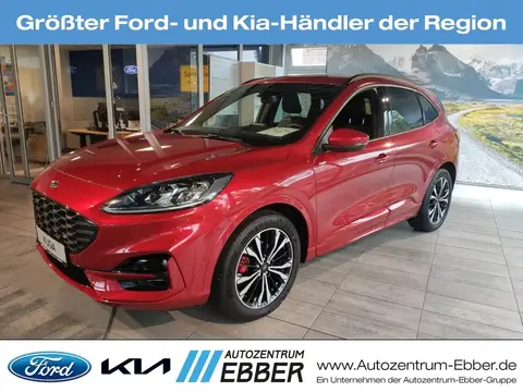 Annonce FORD KUGA Essence 2024 d'occasion Allemagne