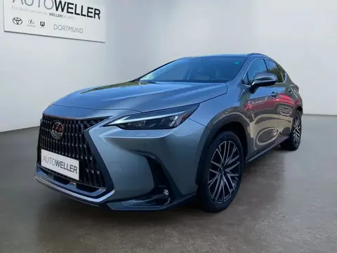 Used LEXUS NX Hybrid 2023 Ad 