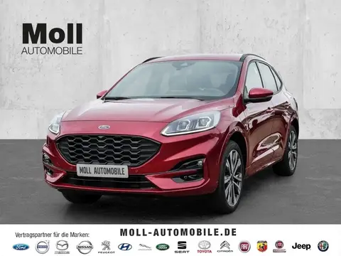 Annonce FORD KUGA Hybride 2024 d'occasion 