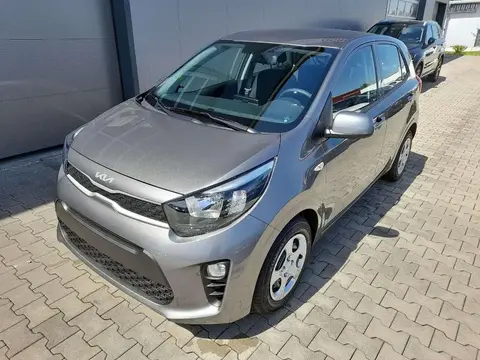 Annonce KIA PICANTO Essence 2024 d'occasion 