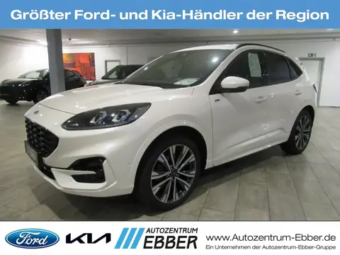 Used FORD KUGA Hybrid 2024 Ad 