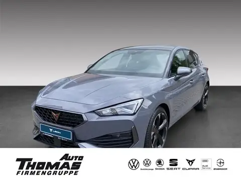 Annonce CUPRA LEON Diesel 2024 d'occasion 