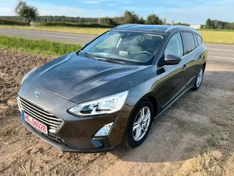 Used FORD FOCUS Diesel 2019 Ad 