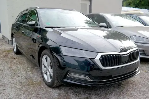 Used SKODA OCTAVIA Petrol 2020 Ad 