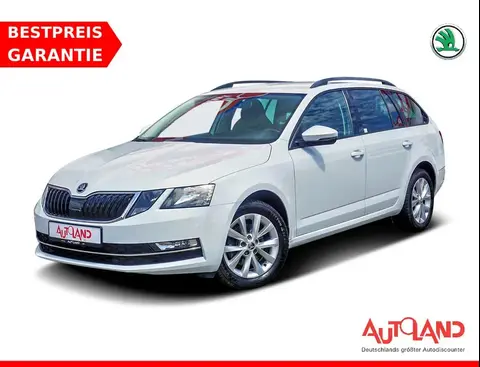 Used SKODA OCTAVIA Petrol 2019 Ad 