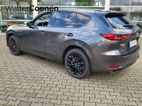 Annonce MAZDA CX-60 Diesel 2024 d'occasion 