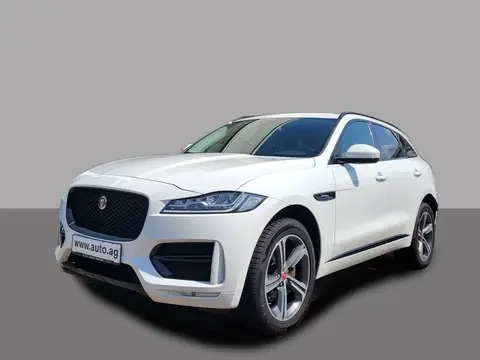 Used JAGUAR F-PACE Diesel 2018 Ad 