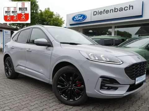 Used FORD KUGA Hybrid 2023 Ad 