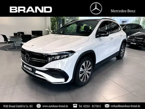 Used MERCEDES-BENZ EQA Not specified 2023 Ad 