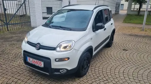 Annonce FIAT PANDA Diesel 2017 d'occasion 