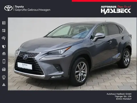 Used LEXUS NX Hybrid 2019 Ad 