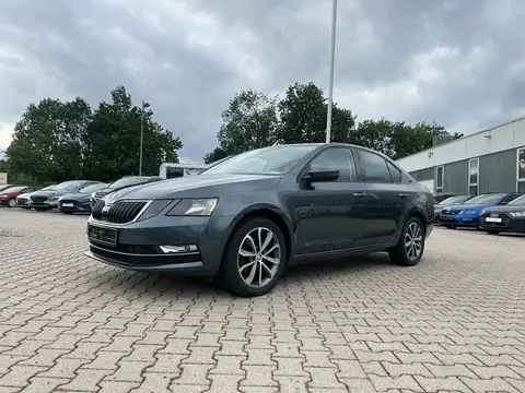 Used SKODA OCTAVIA Diesel 2019 Ad 