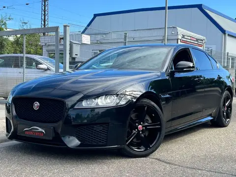 Used JAGUAR XF Diesel 2019 Ad 