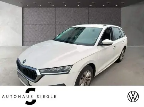 Annonce SKODA OCTAVIA Diesel 2020 d'occasion 