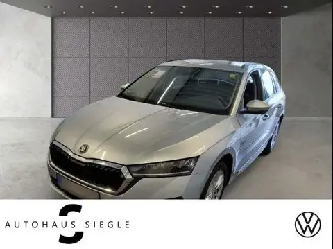 Used SKODA OCTAVIA Diesel 2020 Ad 