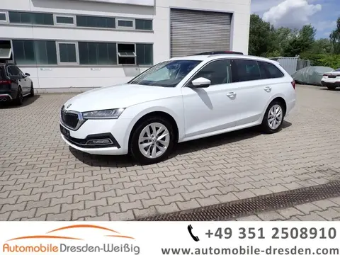 Used SKODA OCTAVIA Petrol 2023 Ad 