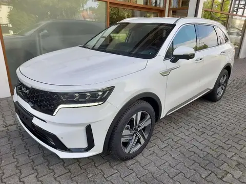 Annonce KIA SORENTO Hybride 2024 d'occasion 