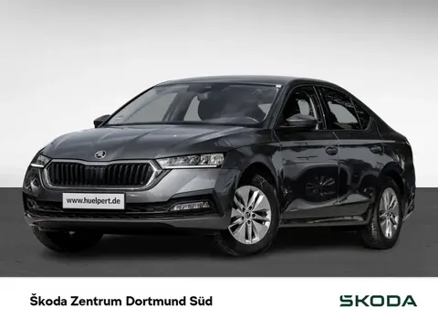 Annonce SKODA OCTAVIA Essence 2022 d'occasion 