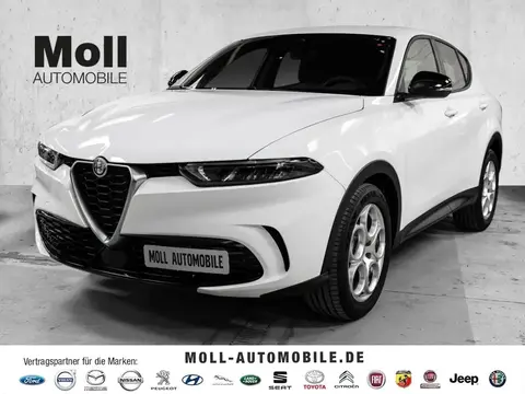 Annonce ALFA ROMEO TONALE Diesel 2024 d'occasion 