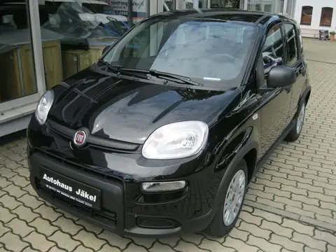 Used FIAT PANDA Petrol 2024 Ad 