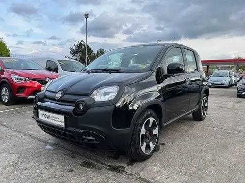 Used FIAT PANDA Hybrid 2023 Ad 