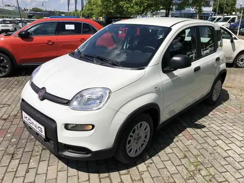 Used FIAT PANDA Petrol 2024 Ad 