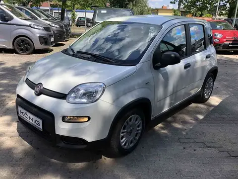 Annonce FIAT PANDA Essence 2024 d'occasion 