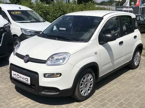 Used FIAT PANDA Petrol 2024 Ad 