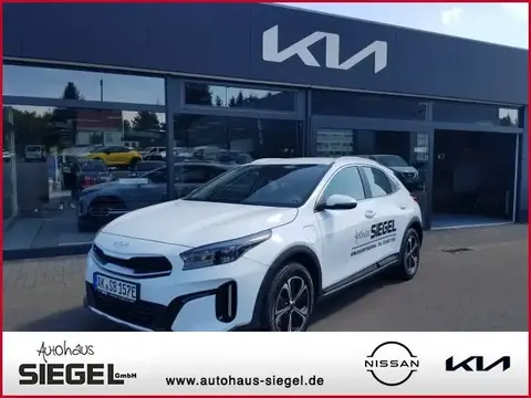 Annonce KIA XCEED Hybride 2024 d'occasion 