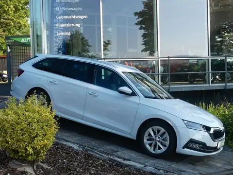 Annonce SKODA OCTAVIA Diesel 2023 d'occasion 