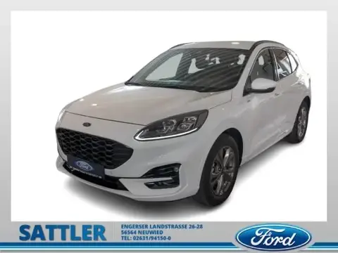 Used FORD KUGA Petrol 2024 Ad 