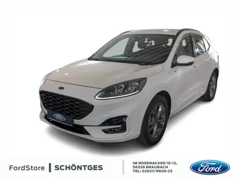 Used FORD KUGA Petrol 2024 Ad 