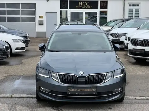 Annonce SKODA OCTAVIA Diesel 2019 d'occasion 