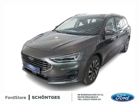 Used FORD FOCUS Hybrid 2024 Ad Germany