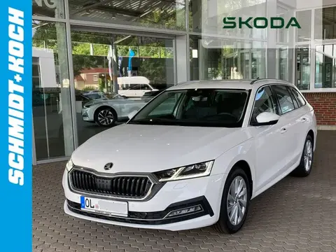 Annonce SKODA OCTAVIA Diesel 2024 d'occasion 