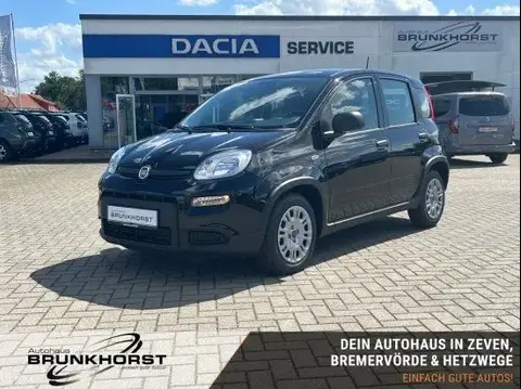 Used FIAT PANDA Petrol 2024 Ad 