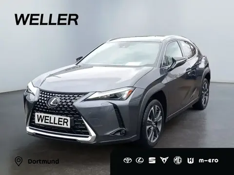 Used LEXUS UX Hybrid 2023 Ad 