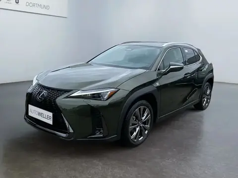 Annonce LEXUS UX Hybride 2024 d'occasion 