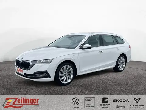 Used SKODA OCTAVIA Hybrid 2021 Ad 