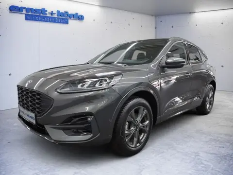 Used FORD KUGA Hybrid 2022 Ad 