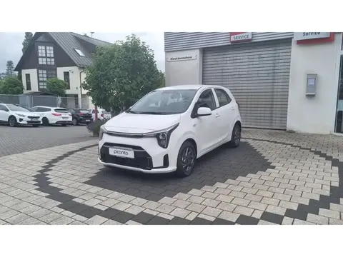 Used KIA PICANTO Petrol 2024 Ad 